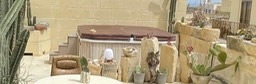cactusgarden4